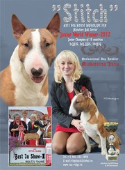 Мини Булька Мини Булька